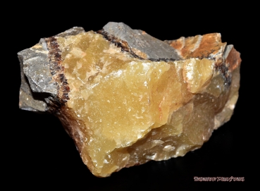 Hexenshop Dark Phönix Septarie Calcit Sisteron 279g Rohstein Halbedelstein